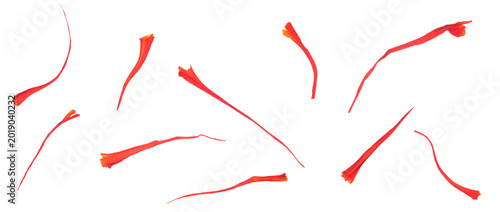 Saffron threads on transparent background. Aromatic spice