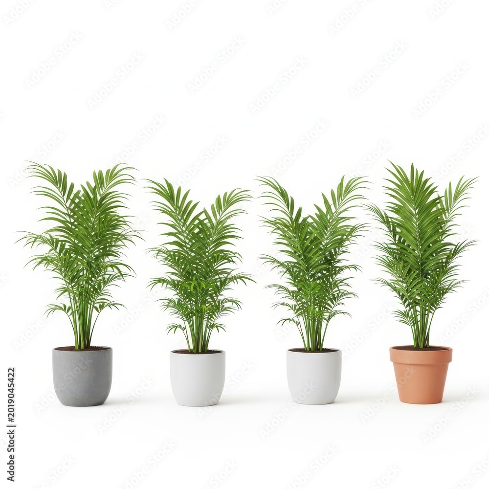 Fototapeta premium Four potted plants with green leaves on a white background