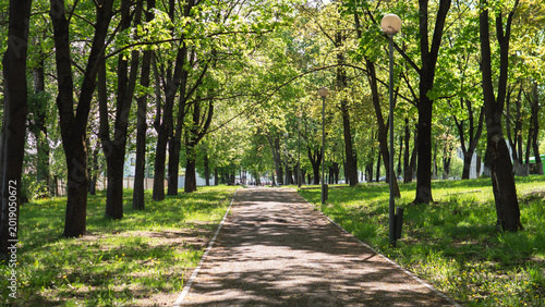 Empty summer walking path in the park background