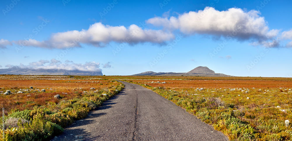 Naklejka premium Blue sky, field or road with landscape in nature for travel destination, vegetation or ecology. Clouds, wilderness or street in green environment for scenic route, natural tourism or rugged terrain