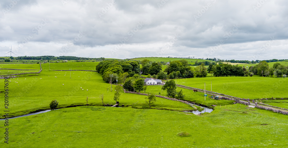 Obraz premium Rolling green meadows with sheep, stone walls and wind turbines near Donegal, Ireland. A rural landscape combining farmland, open scenery and renewable energy.