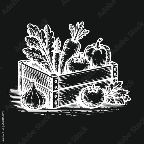 Fresh Farm Vegetables in Wooden Crate, Hand-Drawn Engraving Style