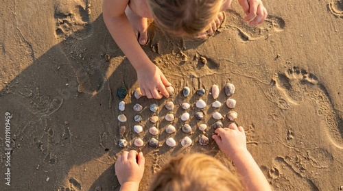 Children arrange sea shells in a grid on sandy beach. Educational nature exploration activity focusing on patterns and counting. Ideal for early childhood development and travel content.