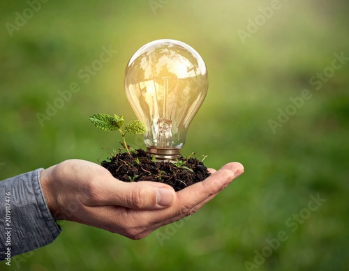 hand holding glowing light bulb with young plant growing in soil, ecological energy, sustainable future, innovation and environmental protection