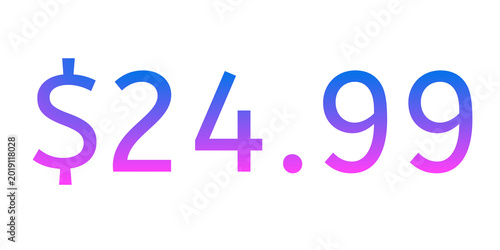 Colorful neon price tag illustration showing “$24.99” on transparent background with vibrant pink and blue gradient glow. Modern glowing typography design perfect for sale promotion