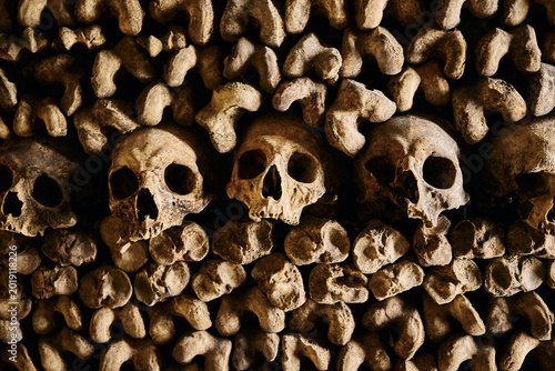 Macabre Wall of Human Skulls and Bones in the Paris Catacombs