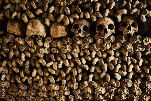 Historic Skull and Bone Wall Texture from the Catacombs of Paris