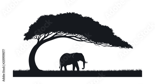 Elephant silhouette standing peacefully under an iconic acacia tree