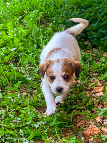 Curious Explorer
