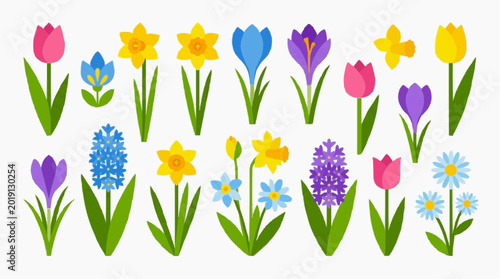 A colorful collection of spring flowers and plants with different shapes, and colors. A delightful presentation to illustrate a scene of spring time