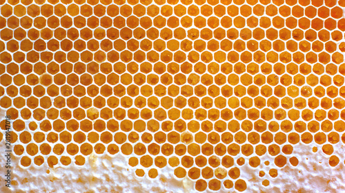 Cuadro en lienzo Close view of honeycomb structure showing hexagonal cells filled with honey from