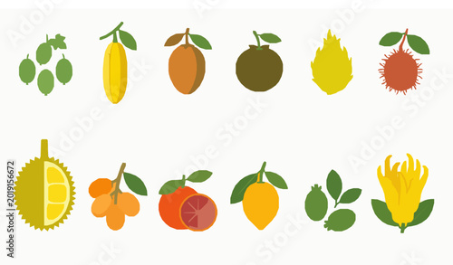 Tableau sur toile Colorful rare exotic fruit cartoon vector collection isolated on white backgroun