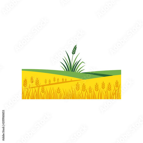 Stylized Golden Wheat Field and Green Grass Landscape