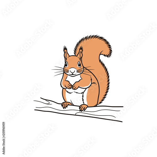 Red Squirrel Perched on a Wooden Branch Isolated on White