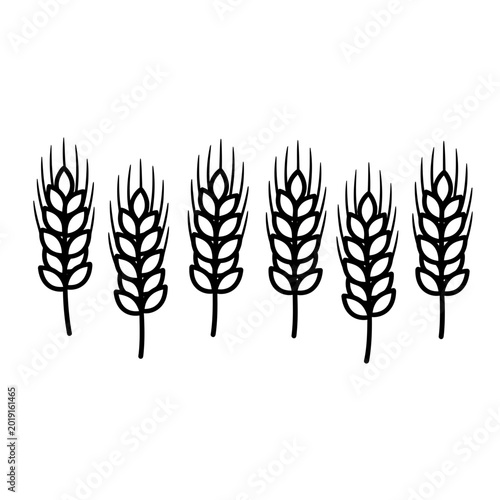 Minimalist wheat stalks line art icons on white background