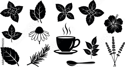 Tableau sur toile “Vector illustration of herbal tea with mint, chamomile, hibiscus, lavender, ros