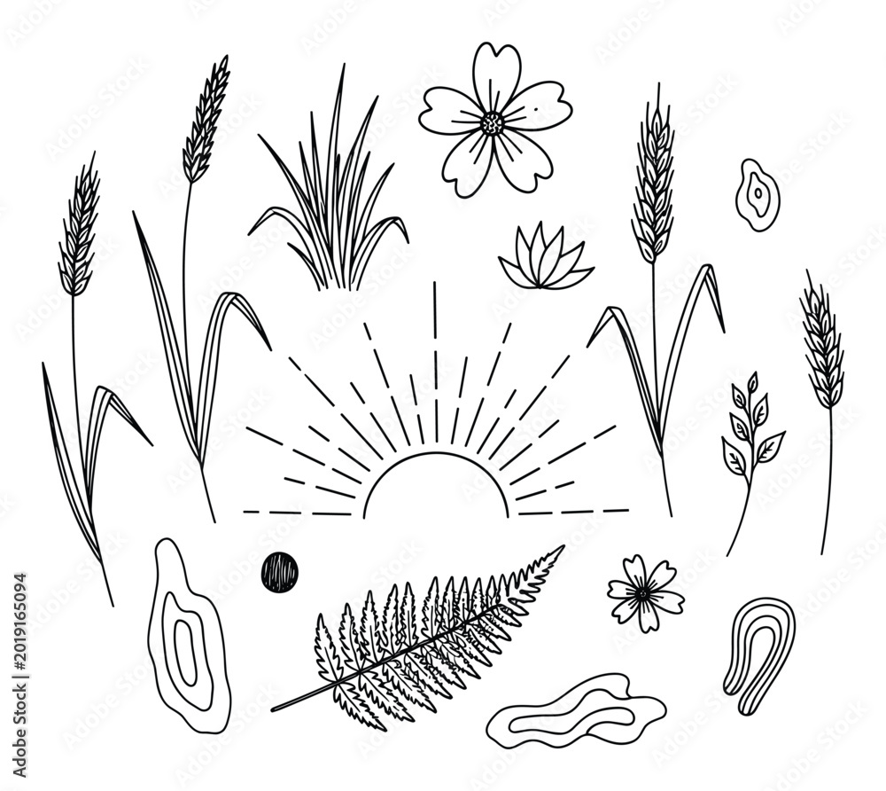 Fototapeta premium Minimalist botanical line art with wheat, grass, flowers, and sun for rustic graphics
