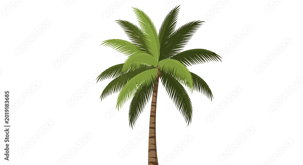 Fototapeta premium Single Tropical Palm Tree with Lush Green Leaves Isolated on White
