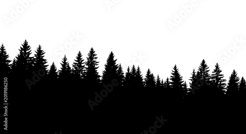 Black pine forest silhouette on white background