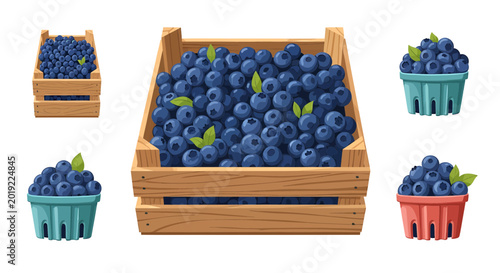 Fresh blueberries in wooden crates and colorful plastic punnets