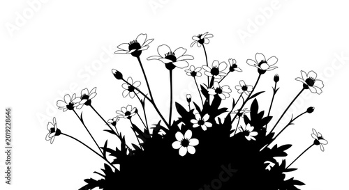 Wildflower Silhouette on White Background