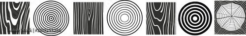Wood grain patterns and tree rings in clean abstract styles with tree trunk wood graphic design