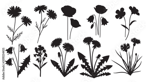 Black wildflower silhouettes, botanical floral vector set with 10 meadow plant elements, minimalist garden flower outlines for wedding invitations