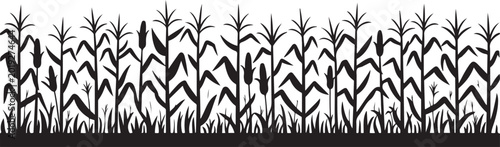 A black corn field. Maize field silhouette vector illustration