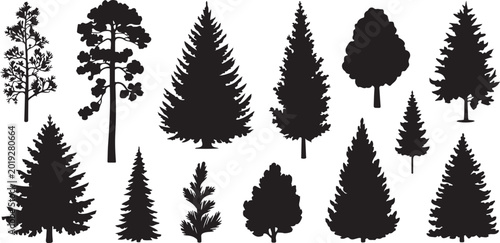 Forest trees set. Isolated vector silhouette. Coniferous forest. Christmas tree, fir-tree, pine, pine-tree, Scotch fir, cedar silhouette vector illustration