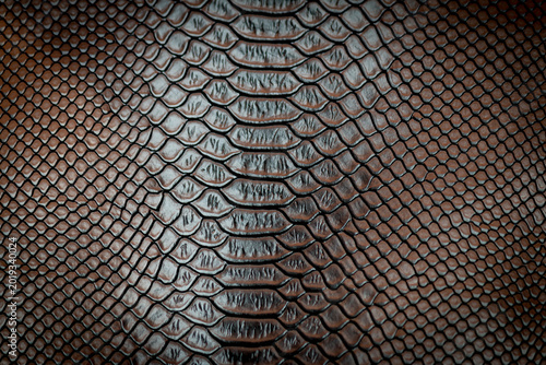 Brown snake skin texture pattern can see the surface details.