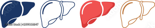 Human liver organ in four different styles and colors on a white background