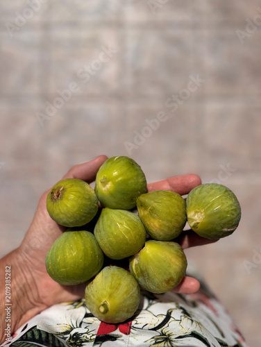 personal perspective woman holding handful of fresh picked green figs standing outdoors on a sunny day