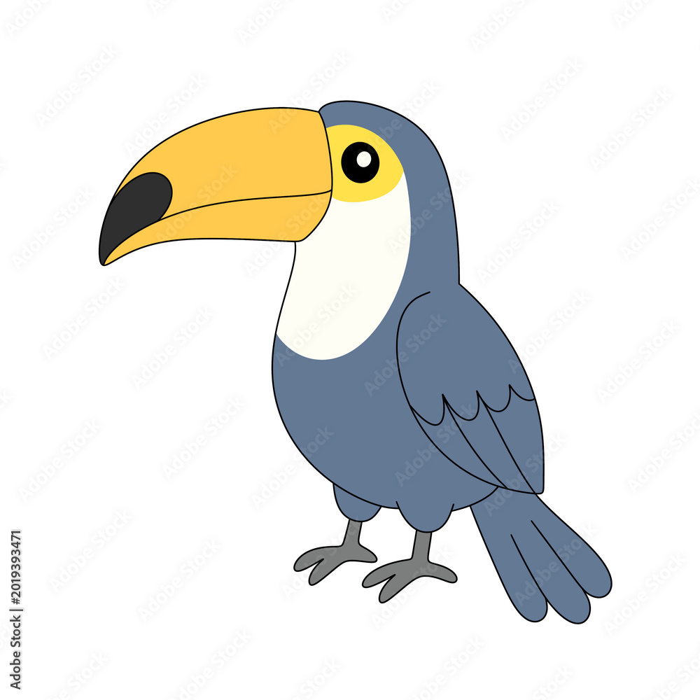 Fototapeta premium Toucan Bird Illustration