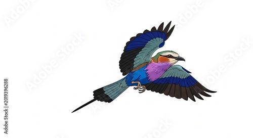 Colorful bird in flight illustration.