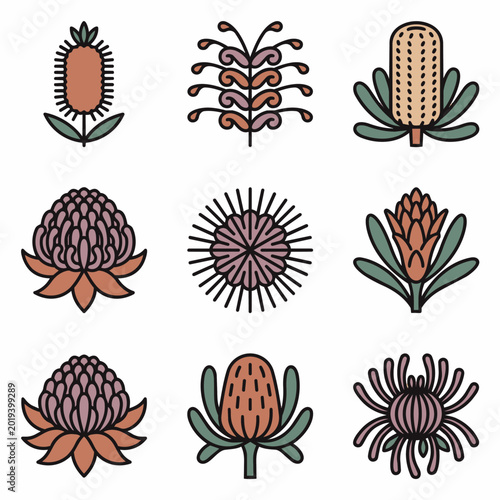 Set of Australian Native Flowers Icons, Banksia, Waratah, Protea, Vector Illustration