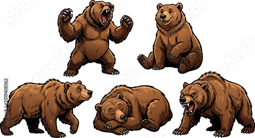 Photos Brown bear grizzly character set standing roaring sitting walking sleeping and aggressive angry poses isolated on white background