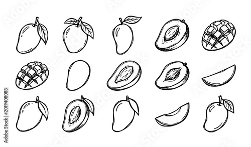 Black line art mango fruit doodle collection with hand drawn minimalist sketch icons tropical food set vector illustration on white background