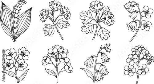 Canvas Print Set of black and white seamless flower patterns vector illustration Vector
