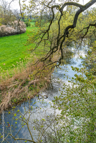 Blick auf einen kleinen Fluss von oben durch Baumkronen hindurch