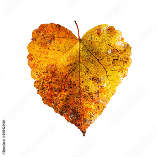 Autumn Leaf Heart Shape on Transparent Background PNG Isolate for Creative Projects