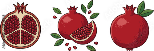 Tableau sur toile Pomegranate fruit vector set with whole fruit, half cut showing seeds, and green
