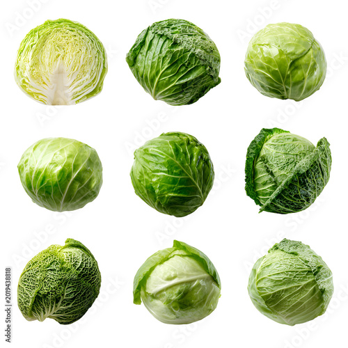 Fresh green cabbages arranged in rows on white background
