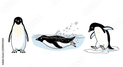 Canvastavla Penguin Actions: Standing, Swimming, and Waddling Illustration Set