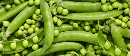 Konstfotografi Texture of fresh green peas and pods as background