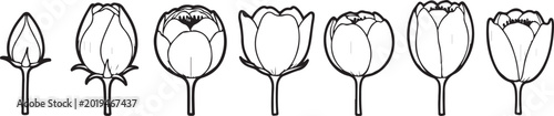 Photos Set of seven different wine glasses with empty glasses illustration Vector