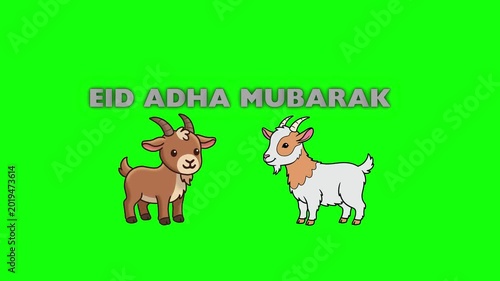 Cute cartoon goats standing with eid ad text on green screen goat animal