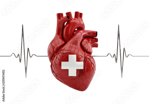 Anatomical human heart with medical cross isolated on transparent background