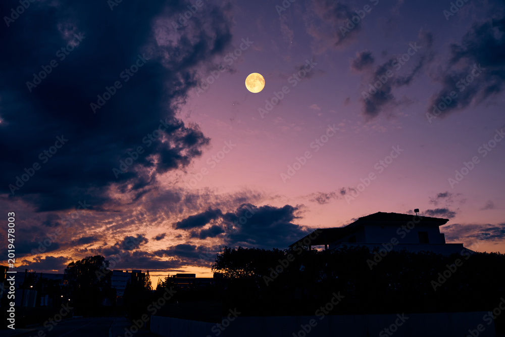Fototapeta premium Full Moon with urban silhouettes.