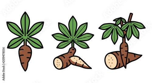 Cassava Line art vector set creative abstract simple shapes