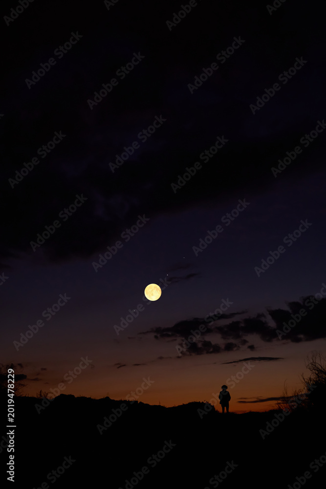 Fototapeta premium Woman observing stars, planets, Moon and other celestial objects.